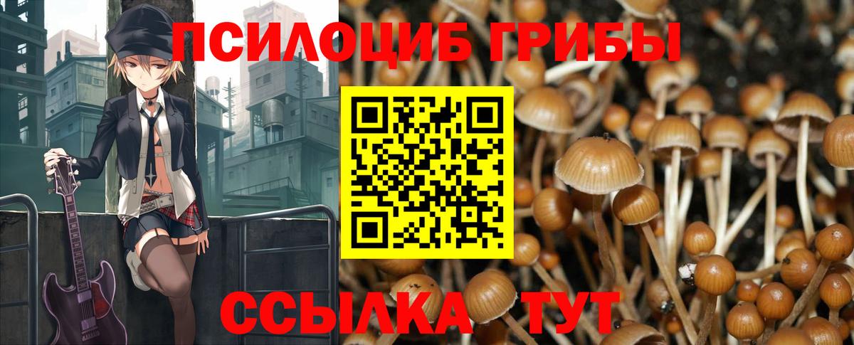 Майский  Псилоцибиновые грибы Psilocybe  Вход с VPN 
